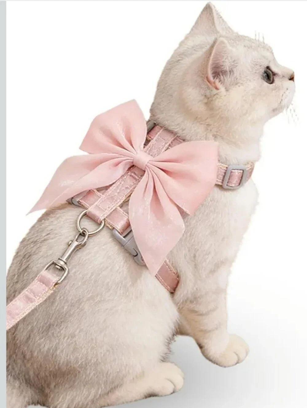 Small Pet Harness and Leash with Bow Adjustable Straps Cat